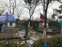 -上海滴水湖皇冠假日酒店