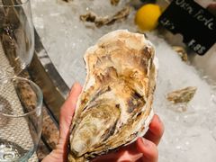 -Oyster Talks 四度蚝法餐厅