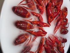 -红盔甲·小龙虾(昌里路店)