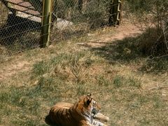 -青藏高原野生动物园