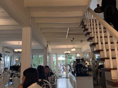 -Fern Forest Cafe