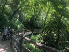 -少华山国家森林公园