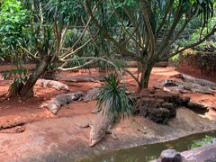 -海南热带野生动植物园