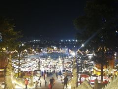 -湄公河秘制烤鱼(西双十贰城商业中心店)