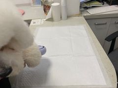 -瑞派雷欧宠物医院·中兽医·眼科·急重症转诊中心(黄台店)