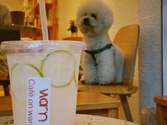 -Cafe on warm(丹霞店)