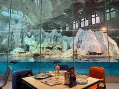 -帝企鹅自助餐厅•儿童岛•真企鹅(长隆企鹅酒店)