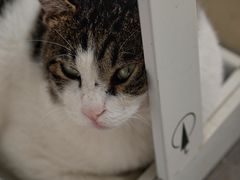 -UNI UNI(环亚凯瑟琳店)