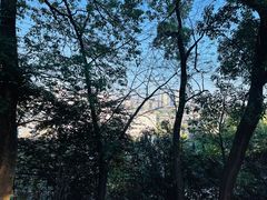 -岳麓山风景名胜区
