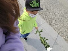 -侵华日军南京大屠杀遇难同胞纪念馆-停车场