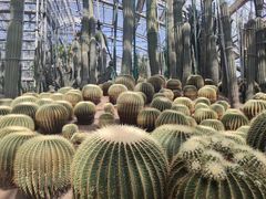 -南山植物园