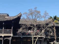 -何园