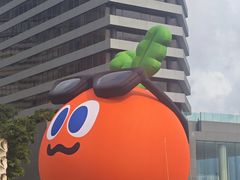 -星光大道