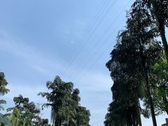 -南山植物园