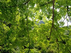 -宁波五龙潭景区