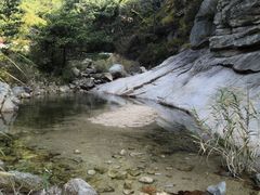 -无染寺