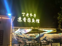 -丁老爷子苏香圆