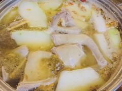 -百利鸽王(紫薇路店)