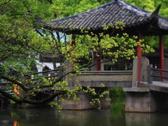 -西湖外事游船(花港观鱼码头)