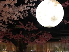 -蓝鲸湾汤泉(包河店)