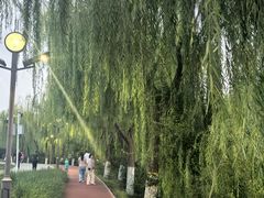 -南翠屏公园