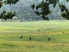 -河南省黄河迎宾馆