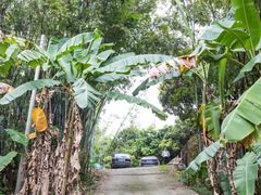 -彩虹桥宠物火化殡葬善终服务(金乐大厦店)