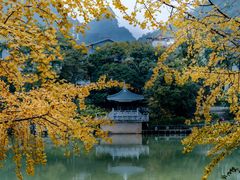 -桂林两江四湖景区