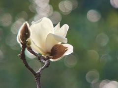 -烈士陵园(地铁站)