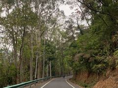 -佛山市三水区大南山森林公园