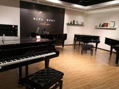 -柏斯琴行(汾阳店)