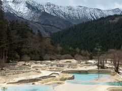 -黄龙山原始森林景区