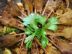 -靓蛙馆