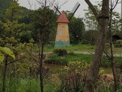 景点-爱丽丝仙境花海