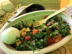 -油梨树AVOCADO TREE(望京店)