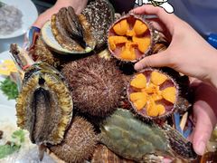 -连鹭海鲜·海肠捞饭·海胆饭(星海店)
