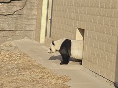 -石家庄市动物园