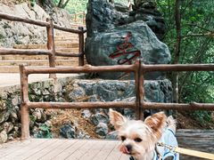 -秦岭天竺山景区