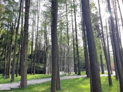 -上海月湖雕塑公园