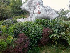 -桃花岛景观公园