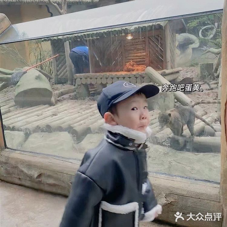 成都周边可投食老虎的超大野生动物世界