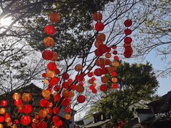 -西溪国家湿地公园