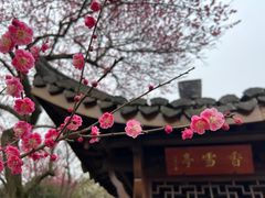 -杭州植物园