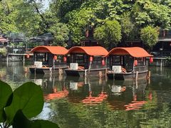 -侨美·唐荔园·40年地道粤菜