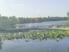 -长春北湖公园