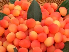 -鲁西肥牛(九方购物中心店)