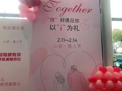 -上海宝信宝马4S店