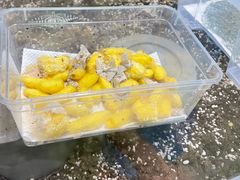 -上海昆虫博物馆