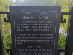 -包公祠