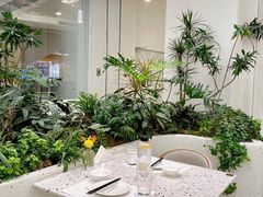 -大树餐厅(朝阳大悦城店)